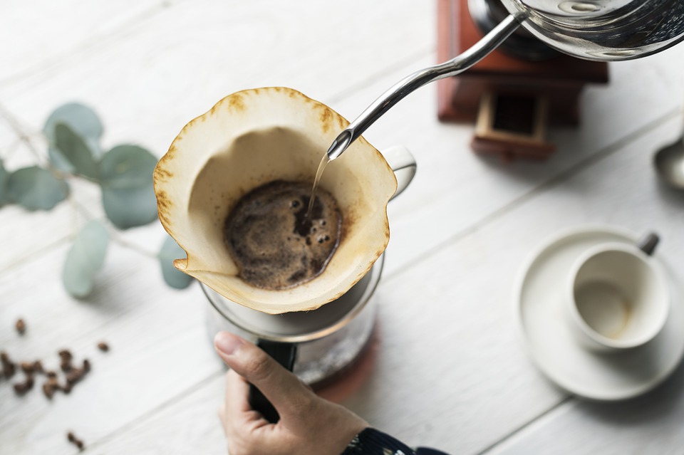 Café para las plantas – Beneficios y cómo utilizarlo