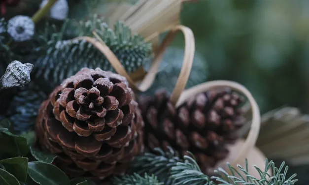 5 ideas para decorar con piñas en Navidad